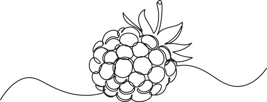 Single line drawing of dewberry fruit on white canvas minimal de