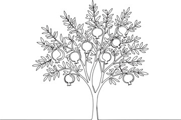 Elegant Pomegranate Tree in Single Line Art Style Minimalist and