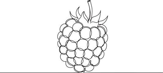Minimalist continuous line drawing of a fresh blackberry illustr