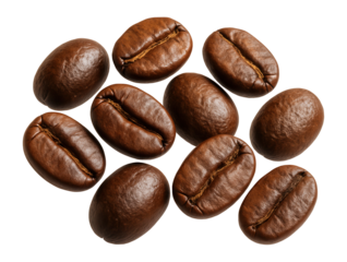 Whole coffee beans, bird-friendly certified, sustainable