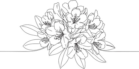 Fototapeta premium Elegant Rhododendron Flower Cluster in Minimalist Line Art Illus