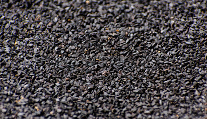 Close-up Photo of Black Cumin Seed in a Textured Surface Background