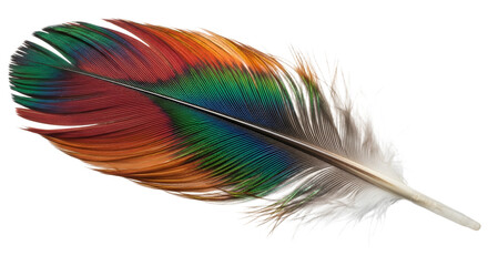 Colorful Feather