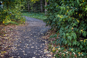 footpath in the park