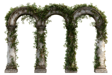 Three weathered stone arches, intricately intertwined with verdant climbing plants