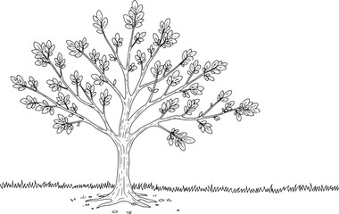 Monochrome Tree Line Art Illustration with Budding Leaves and Si