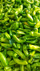 Green Fresh Peppers on the Market Stall