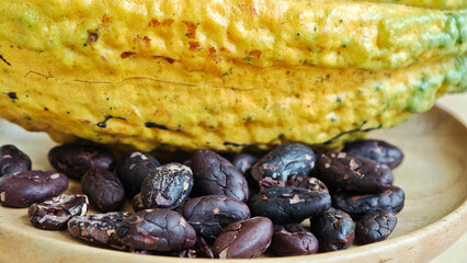Cocoa fruits and raw cocoa beans with defocused cocoa plantation in the background