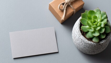 Minimalist presentation with gift and succulent