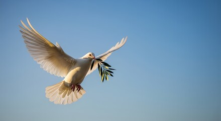 Obraz premium White pelicans in flight and great blue herons soar in the sky