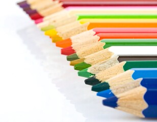 Obraz premium Colored pencils in a row on a white background