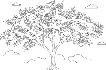 Fototapeta premium Elegant mimosa tree outline amidst ethereal clouds, a tranquil c