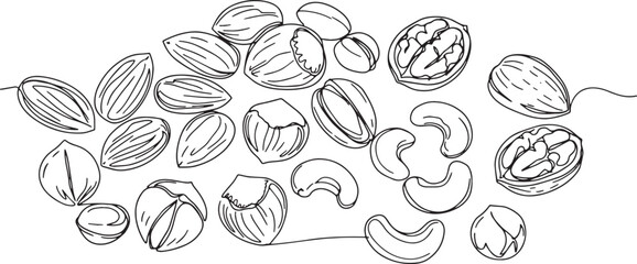Obraz premium Elegant line art illustration showcasing assorted nuts variety o