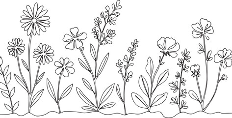 Elegant line drawing of blooming wildflowers against a white bac