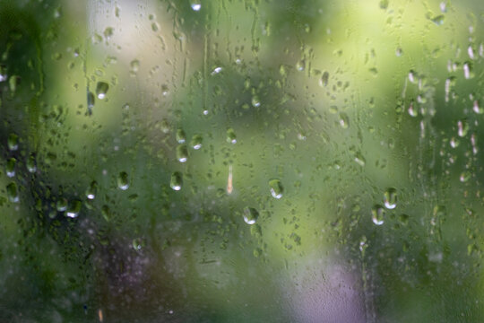 Raindrops glisten on a misty window, creating a serene backdrop of blurred greenery.
