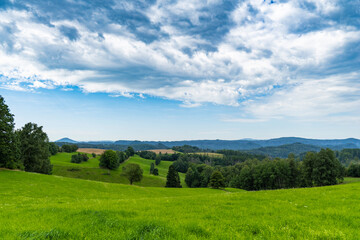 Fototapeta premium Wiesenlandschaft bei Hinterhermsdorf in der Sächsischen Schweiz 1