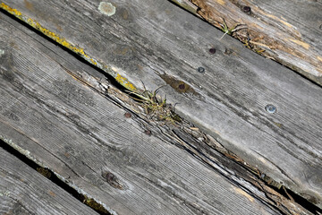 A fragment of the wooden pier reveals rotting boards