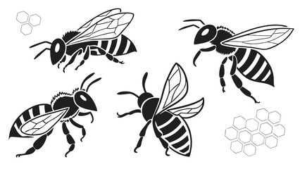 vector illustration of a wasp