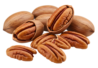 Close-Up of Pecan Nuts: Shelled and Unshelled