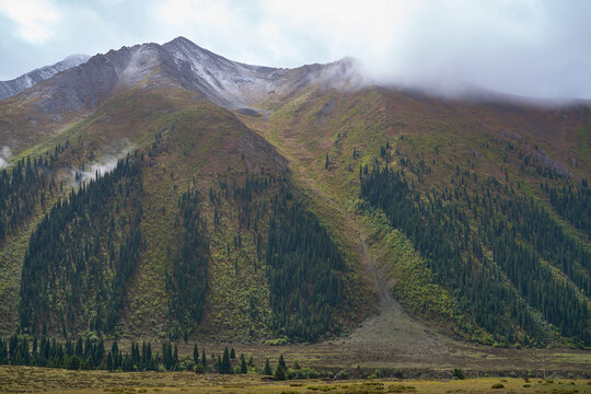 Misty Mountains With Patches of Snow and Dense Forests Showing Autumn Colors - Powered by Adobe