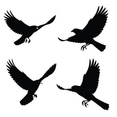 Four black silhouettes of birds in flight on a white background