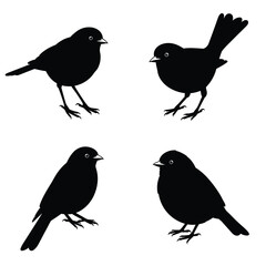 Four black birds in different poses on a white background silhouette
