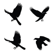 Four black silhouettes of birds in flight on a white background