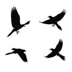 Four black silhouettes of birds in flight on a white background