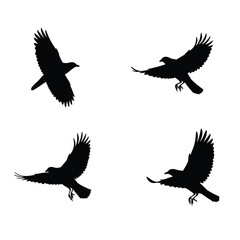 Four black silhouettes of birds in flight on a white background