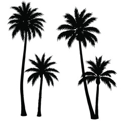Four black silhouettes of palm trees on a white background