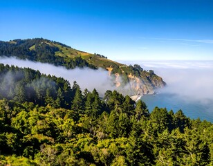 Coastal hills shrouded in fog