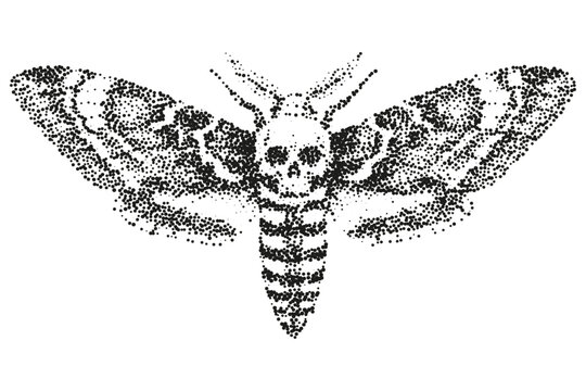 Death's-Head Hawkmoth with Skull, Stipple Tattoo Style Illustration.