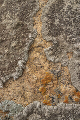 Close up texture of a weathered granite rock with lichen and a distinct sandy colored vein