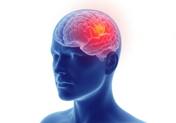 Fototapeta premium Human brain with red spot indicating pain isolated on white background