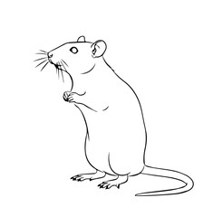 Rat Silhouette – Small Rodent Animal Vector Illustration