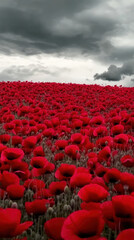 Obraz premium Endless poppy field in gentle motion under a cloudy sky, vibrant red blossoms glowing