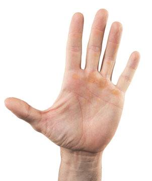 Isolated Male Hand Open Palm  with Transparent Background