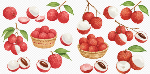 A beautiful watercolor set of ripe lychee fruits, whole, peeled, sliced, in baskets, and on leafy branches.