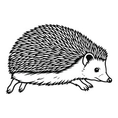 Vector art of hedgehog illustration