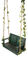swing with vine isolated