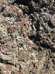 Detailed close-up of bumpy brown and grey rock surface with shadows cast by sunlight, natural texture background for design use.