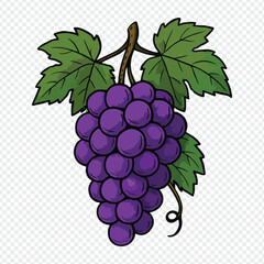 Hand Drawn Purple Grapes Illustration with Green Leaves – Vintage Fruit Design and grapes, grape illustration, purple grapes, grape drawing, grape sketch, grape bunch, grapevine, grapes with leaves, 