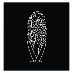 Elegant Hyacinth Flower Outline Against a Black Background Simple and Sophisticated Design Perfect for Botanical Prints and Floral Themes