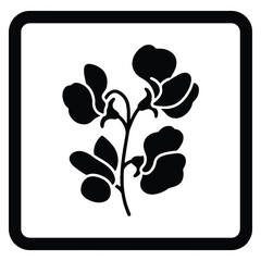 Elegant Sweet Pea Flower Illustration in Black and White Minimalist Design for Print or Web Projects Botanical Illustration