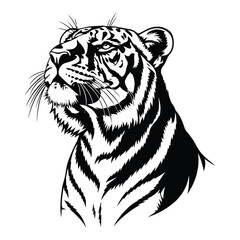 Vector art of tiger head illustration