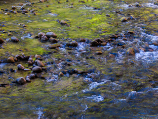 Fast flowing water reflecting the green canopy overhead