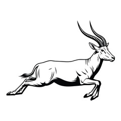 Vector art of gazelle running