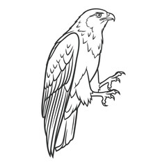 Vector art of eagle perched