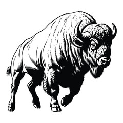 Fototapeta premium Vector art of bison charging forward
