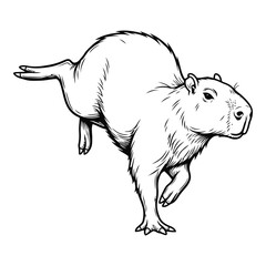 Vector art of capybara running